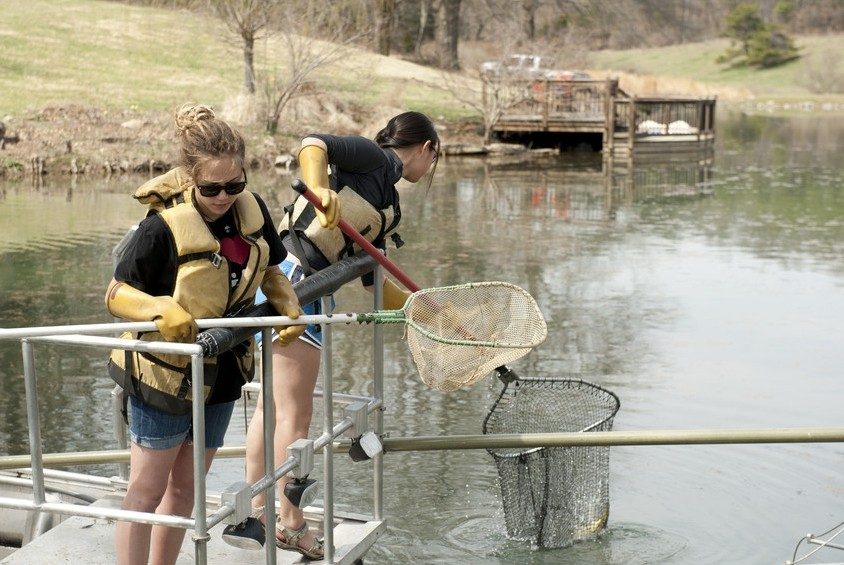 Fish and wildlife conservation students participate in an outdoor lab collecting and analyzing fish in a local pond