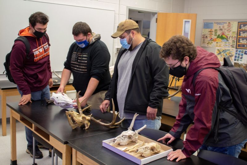 Four people stand around a table with animal skulls on it.