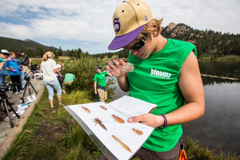 A person checks a reference sheet for invasive species at a national park event. 